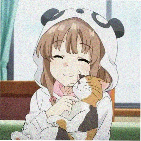 游客头像
